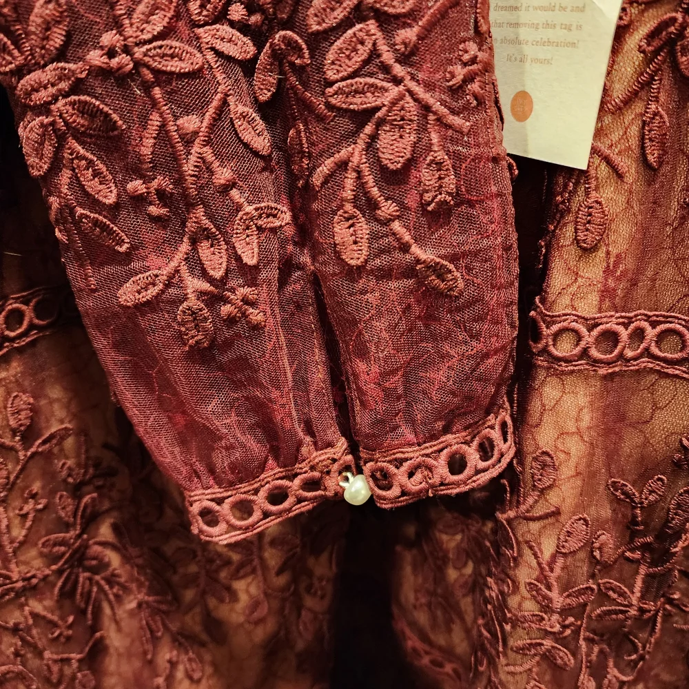 Elegant Wine Lace Dress - Picture 3 of 6